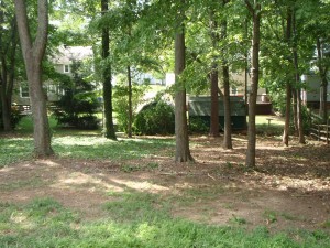 backyard-brush-removal-natural-area-maintained-(landscaping-tree-clearing)-2