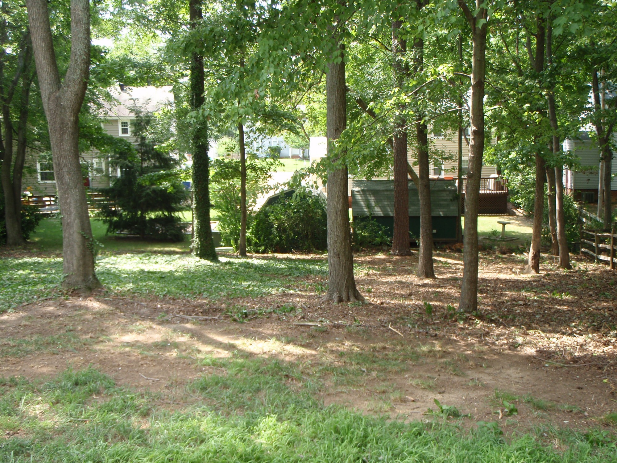 backyard-brush-removal-natural-area-maintained ...